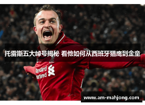 托雷斯五大绰号揭秘 看他如何从西班牙猎鹰到金童