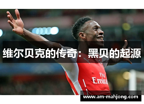 维尔贝克的传奇:黑贝的起源 维尔贝克的传奇:黑贝的起源