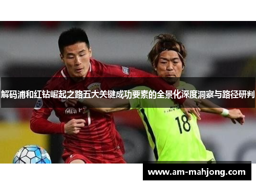 解码浦和红钻崛起之路五大关键成功要素的全景化深度洞察与路径研判