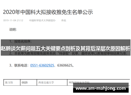 赵鹏谈欠薪问题五大关键要点剖析及其背后深层次原因解析